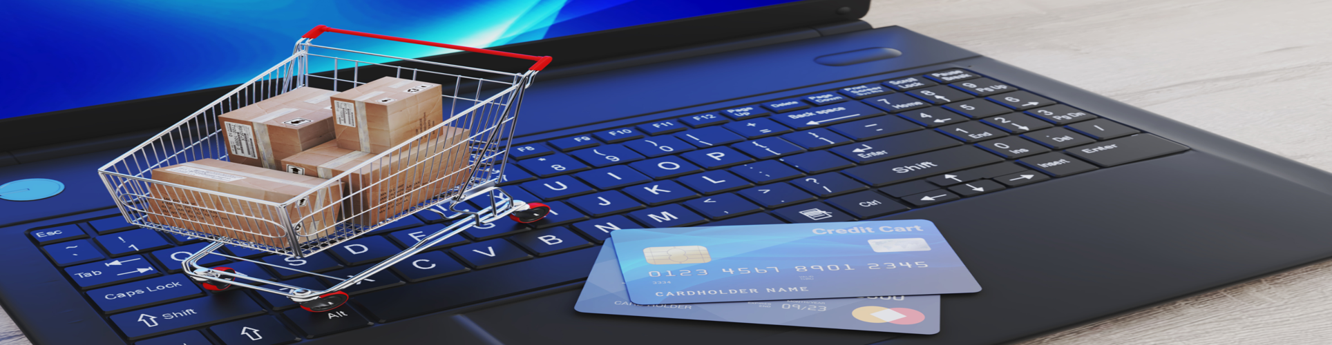 Build a Professional eCommerce Website